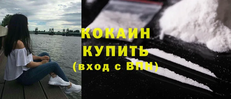 ссылка на мегу как войти  Нолинск  Cocaine Эквадор 